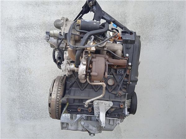 RENAULT Megane 2 generation (2002-2012) Motor F9Q800 24389306