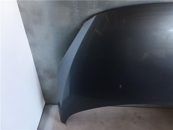 PEUGEOT 307 1 generation (2001-2008) Bonnet 7901J0, L01590 21704075