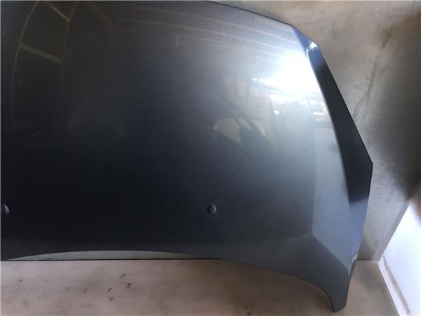 PEUGEOT 307 1 generation (2001-2008) Bonnet 7901J0, L01590 21704075