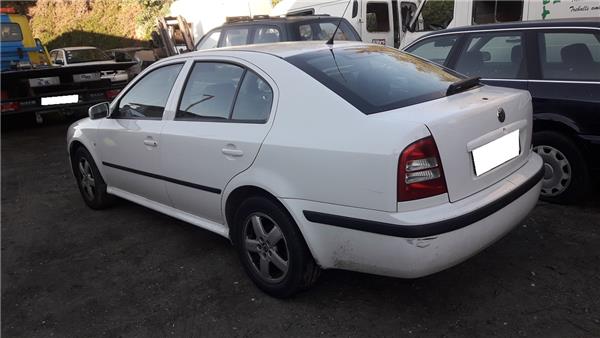 SKODA Octavia 1 generation (1996-2010) Другие блоки управления 1J0919183B,22080511 20782595