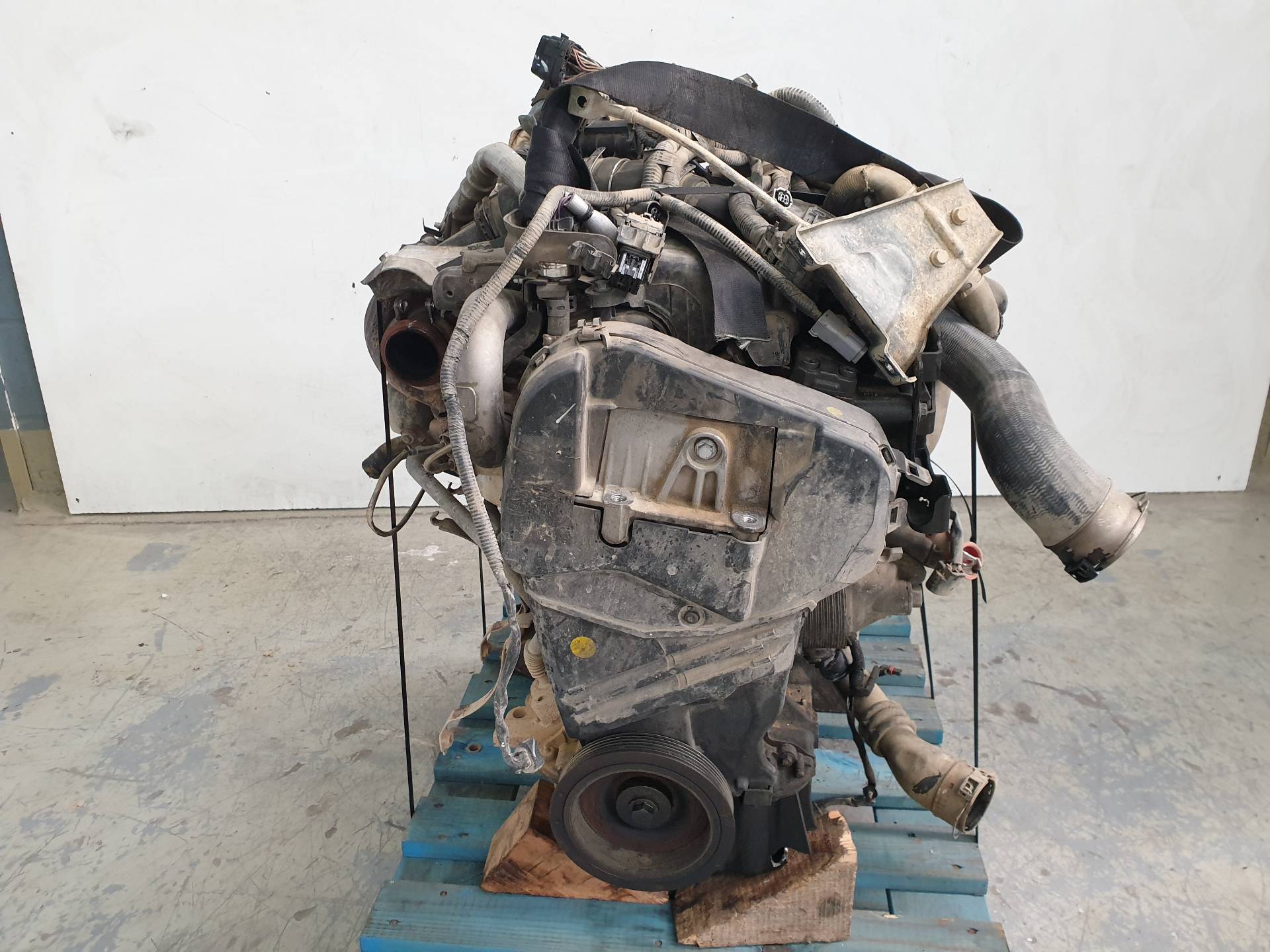 NISSAN Juke YF15 (2010-2020) Variklis K9KA636 24337929