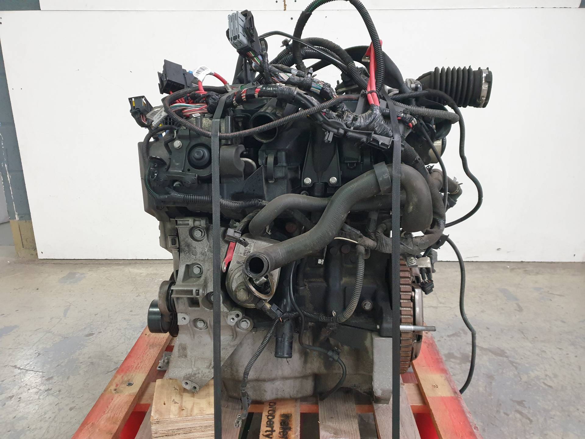 RENAULT Captur 1 generation (2013-2019) Engine K9K608 25404510