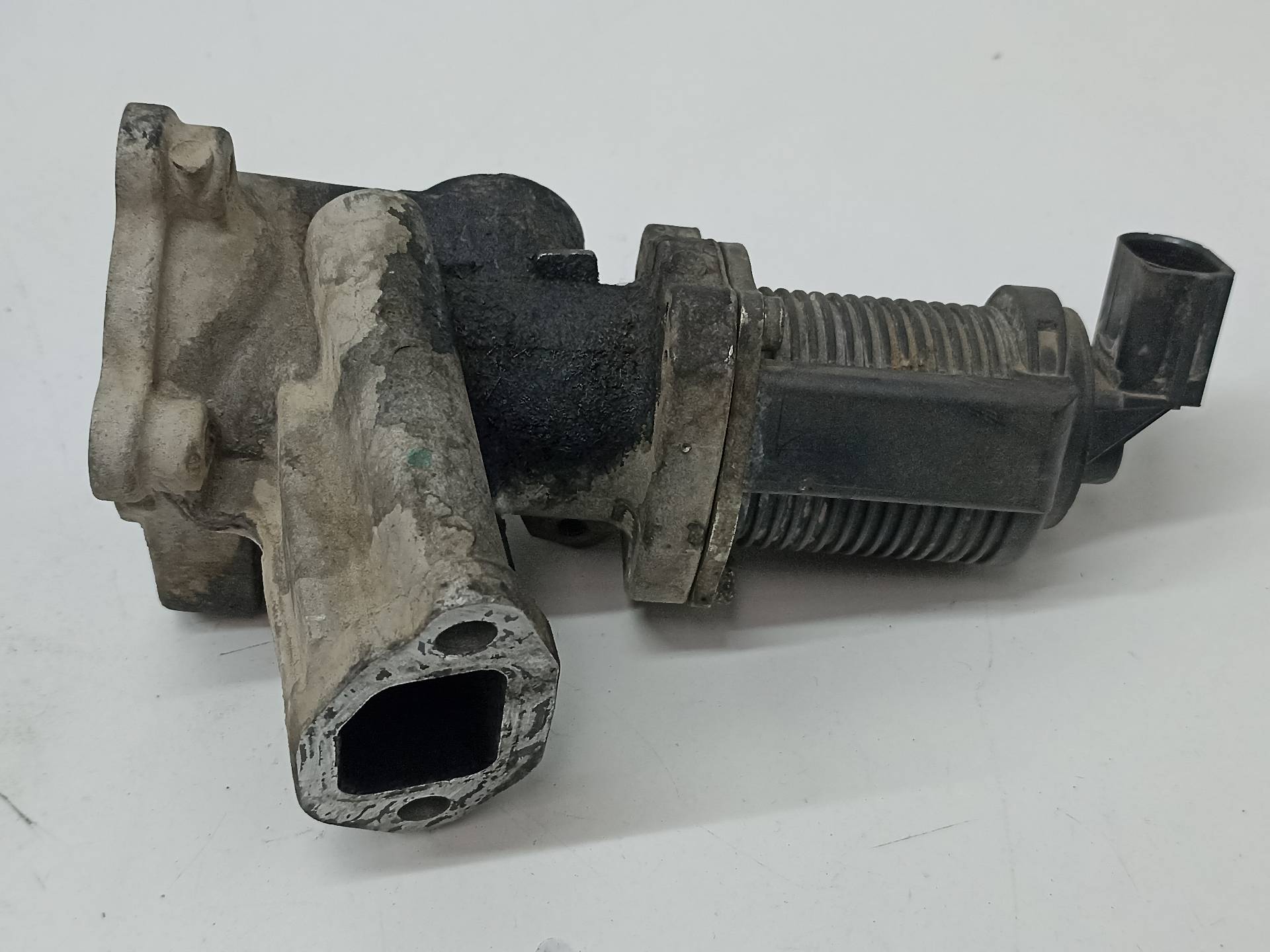 OPEL Corsa C (2000-2006) EGR vārsts 55281144 24314344