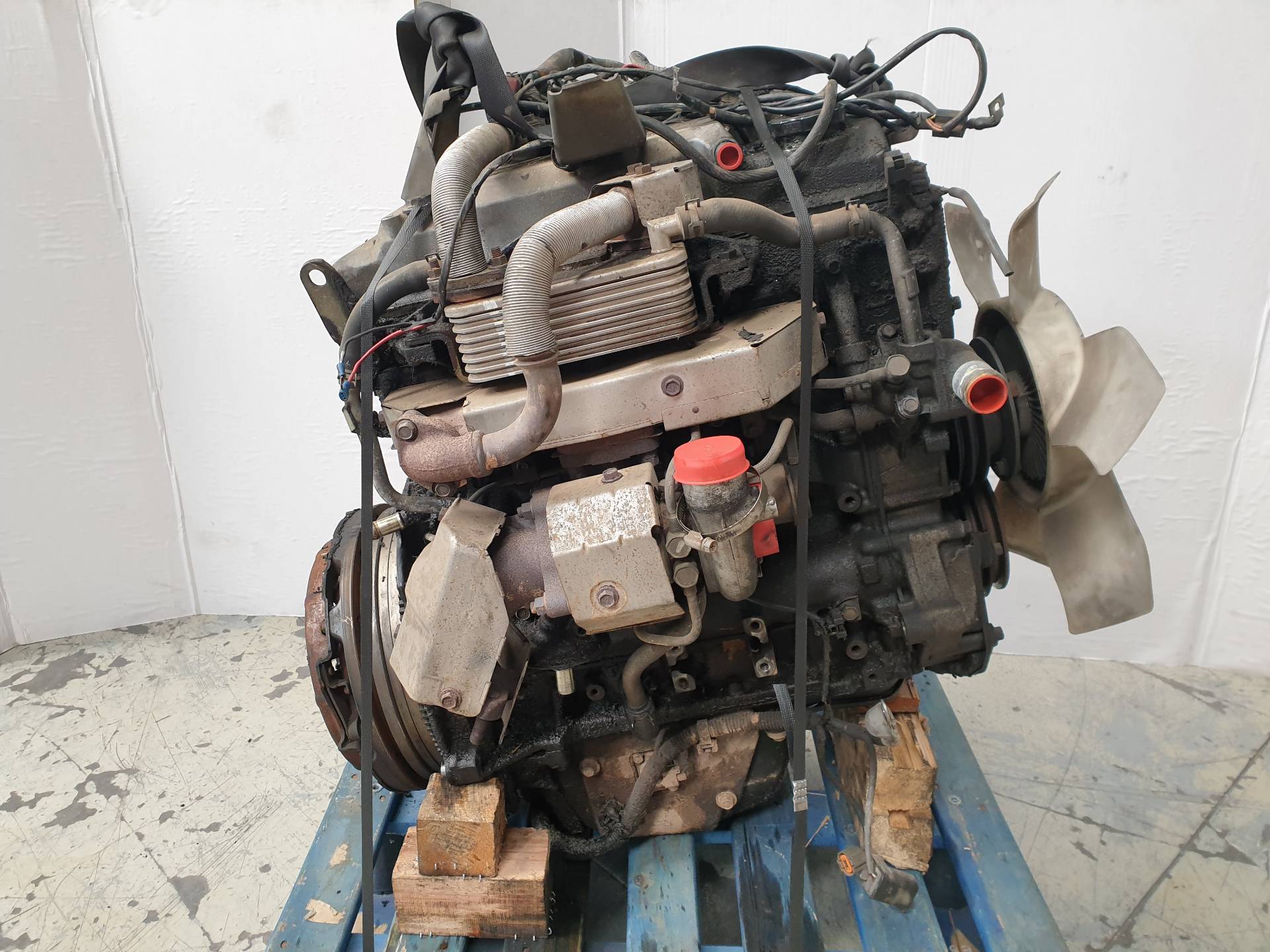 VOLKSWAGEN LT 1 generation (1975-1995) Motor 4M41 25569502