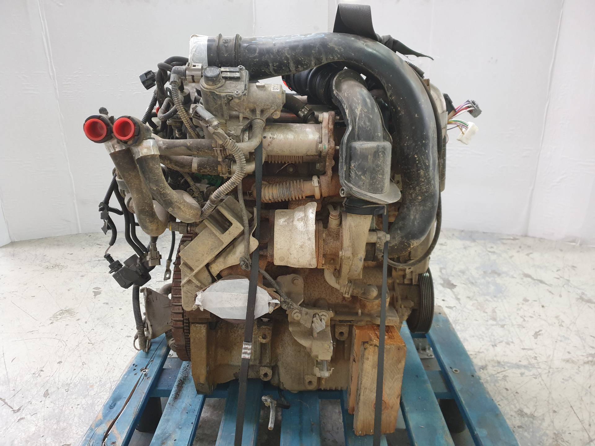RENAULT Kangoo 2 generation (2007-2021) Motor K9K808 25404507