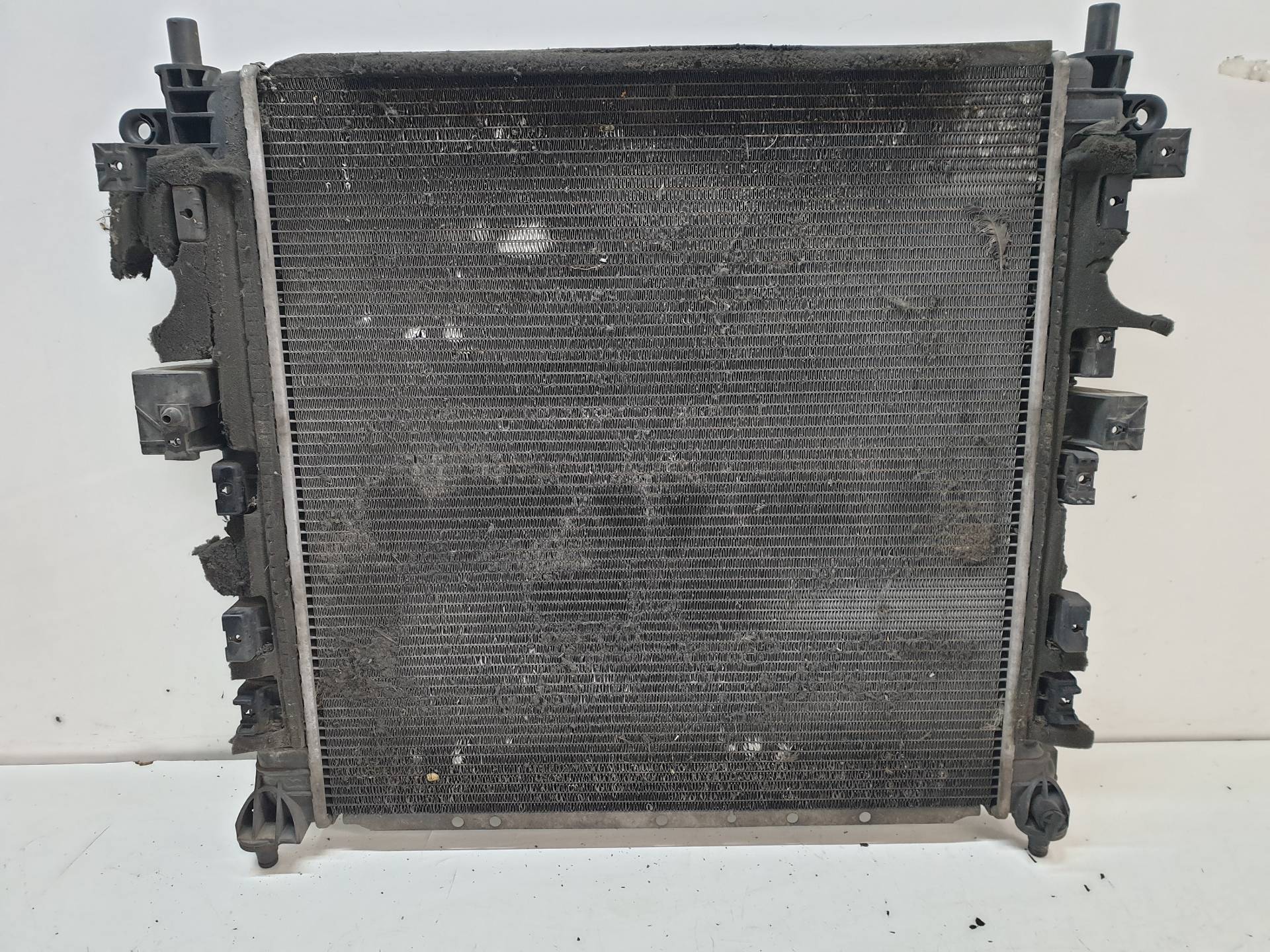 SSANGYONG Kyron 1 generation (2005-2015) Охлаждающий радиатор 24337890