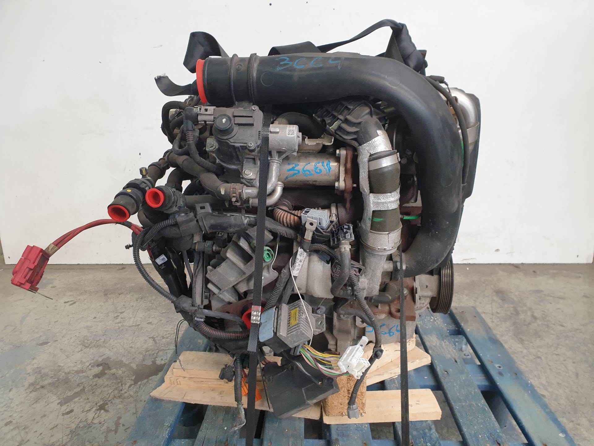 RENAULT Clio 3 generation (2005-2012) Engine K9K770 24341061