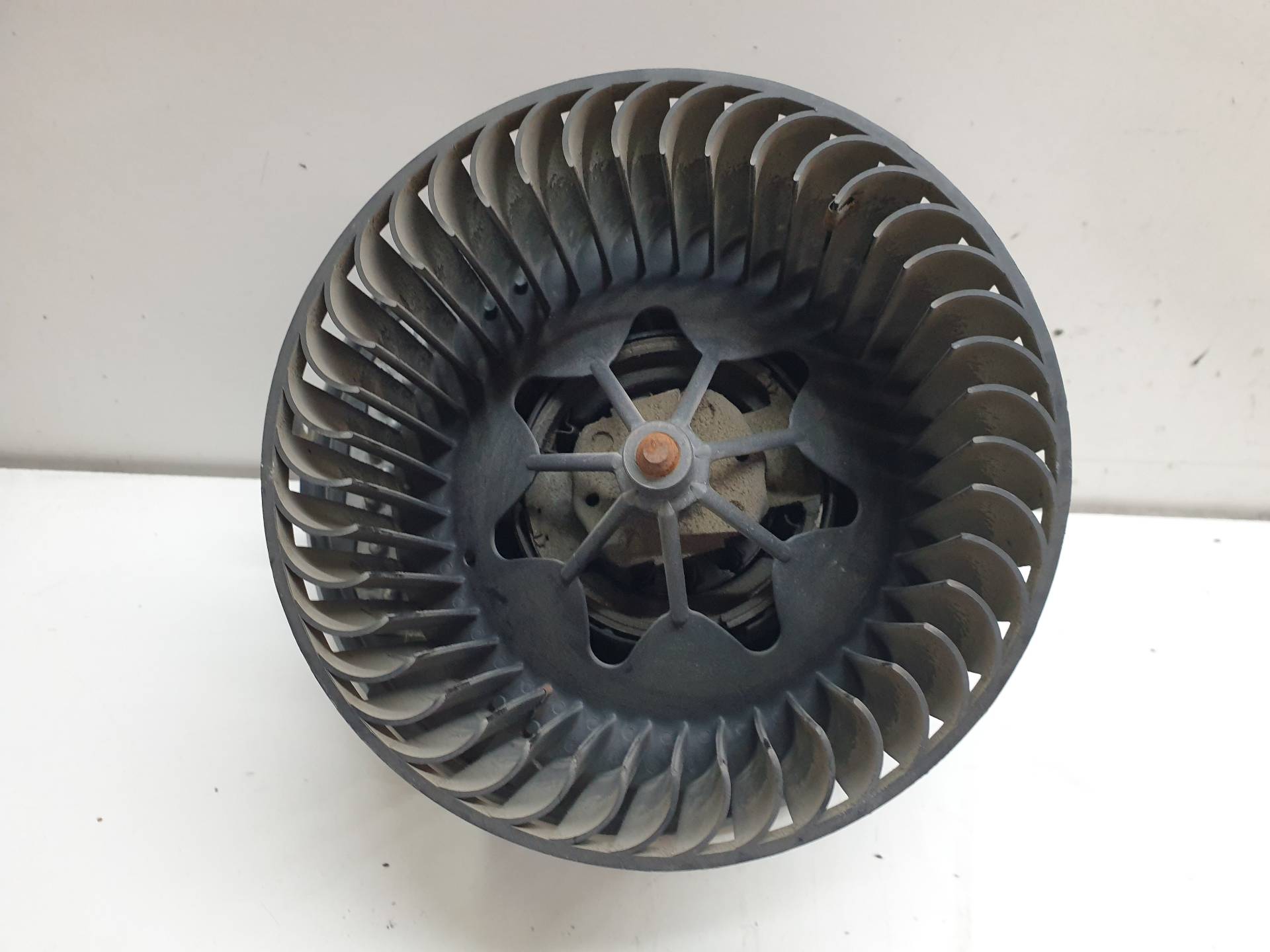 VOLKSWAGEN Golf Plus 2 generation (2009-2014) Sildītāja ventilators 1K1820015G 25569629