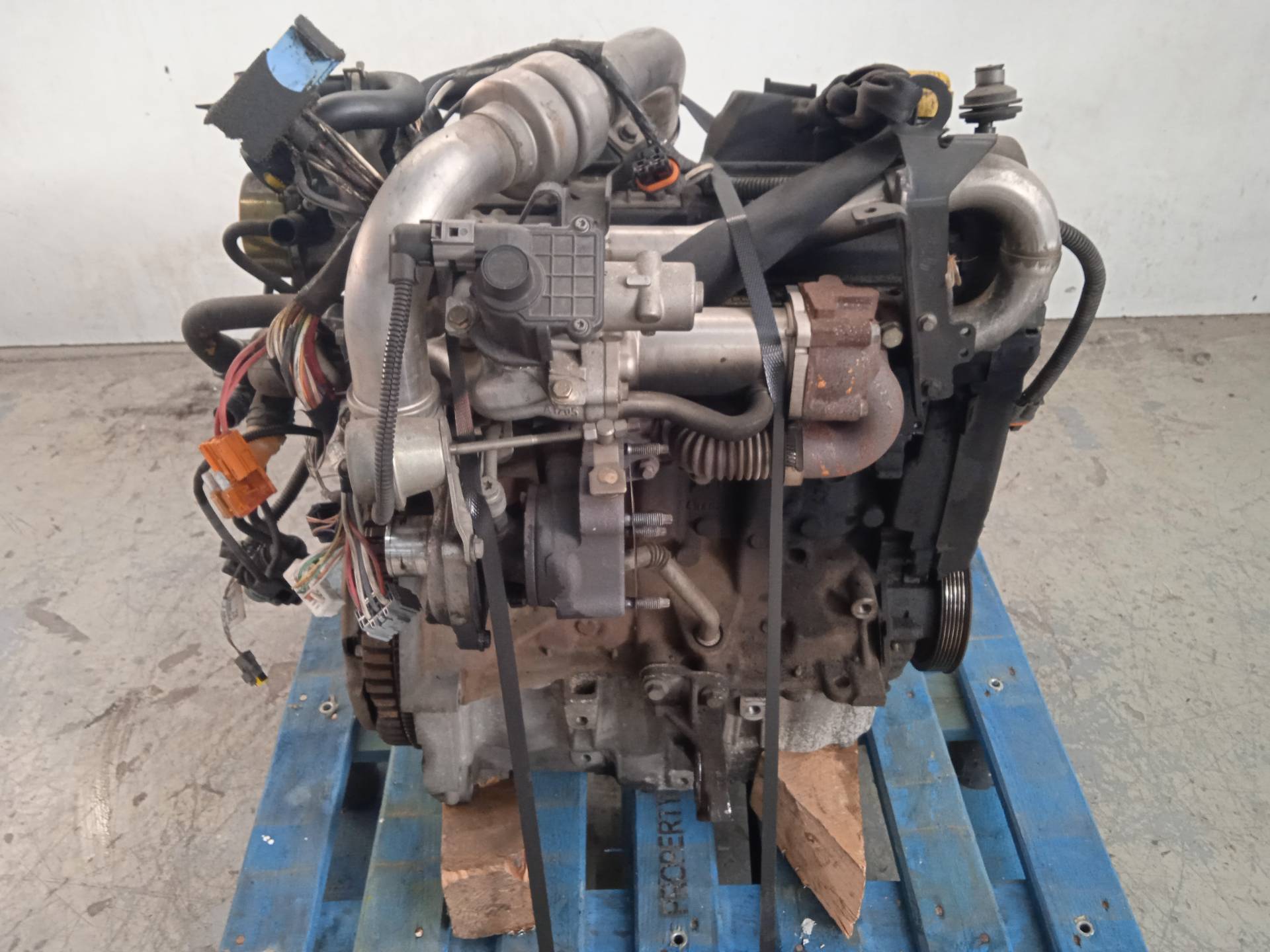 RENAULT Megane 2 generation (2002-2012) Engine K9K672 24335983