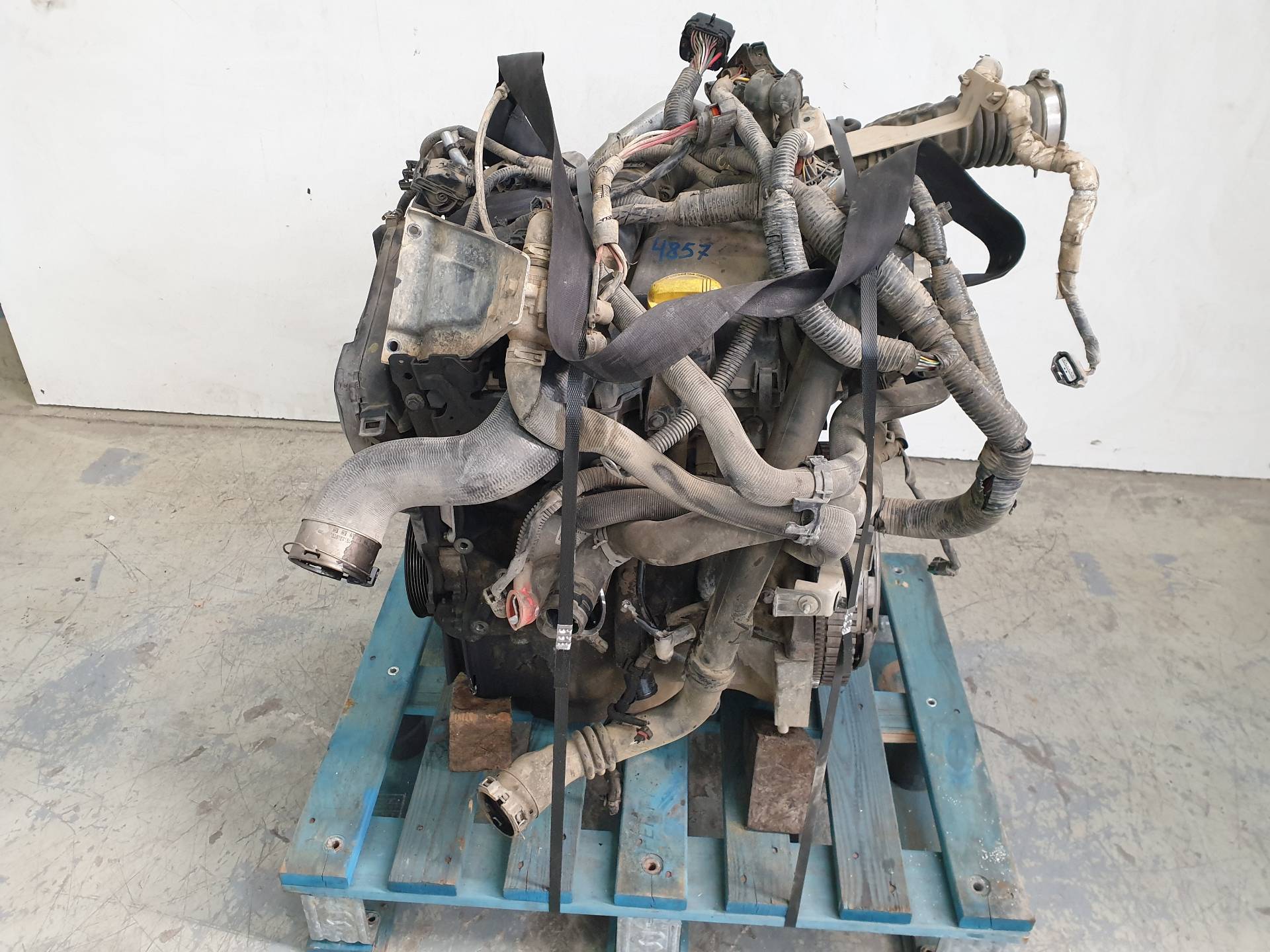 NISSAN Juke YF15 (2010-2020) Variklis K9KA636 24337929