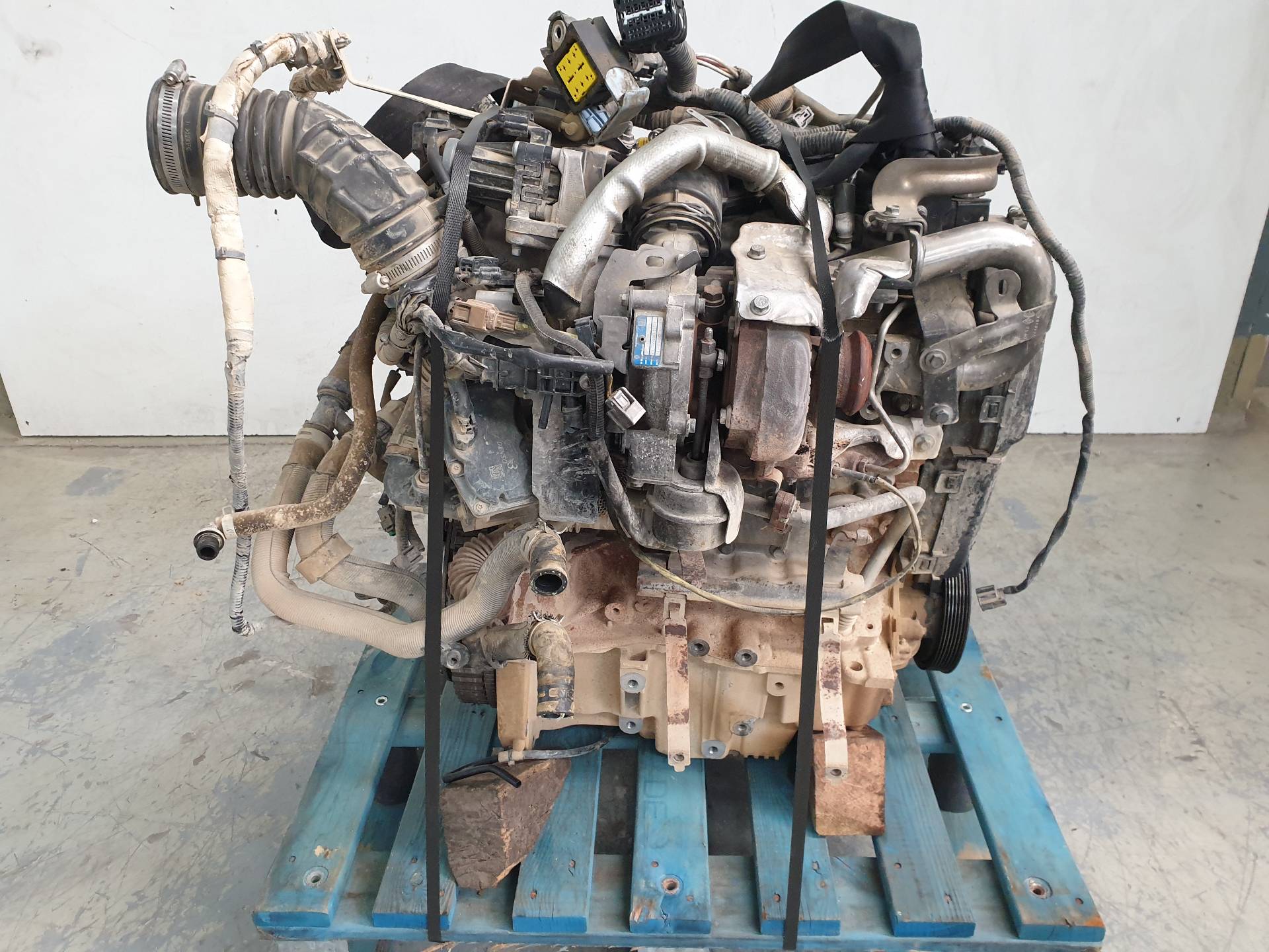 NISSAN Juke YF15 (2010-2020) Variklis K9KA636 24337929