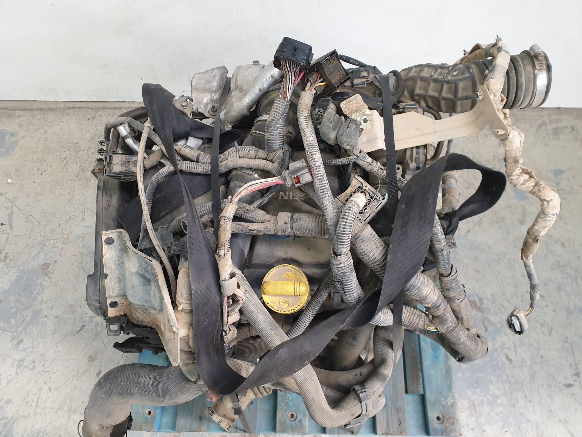 NISSAN Juke YF15 (2010-2020) Variklis K9KA636 24337929