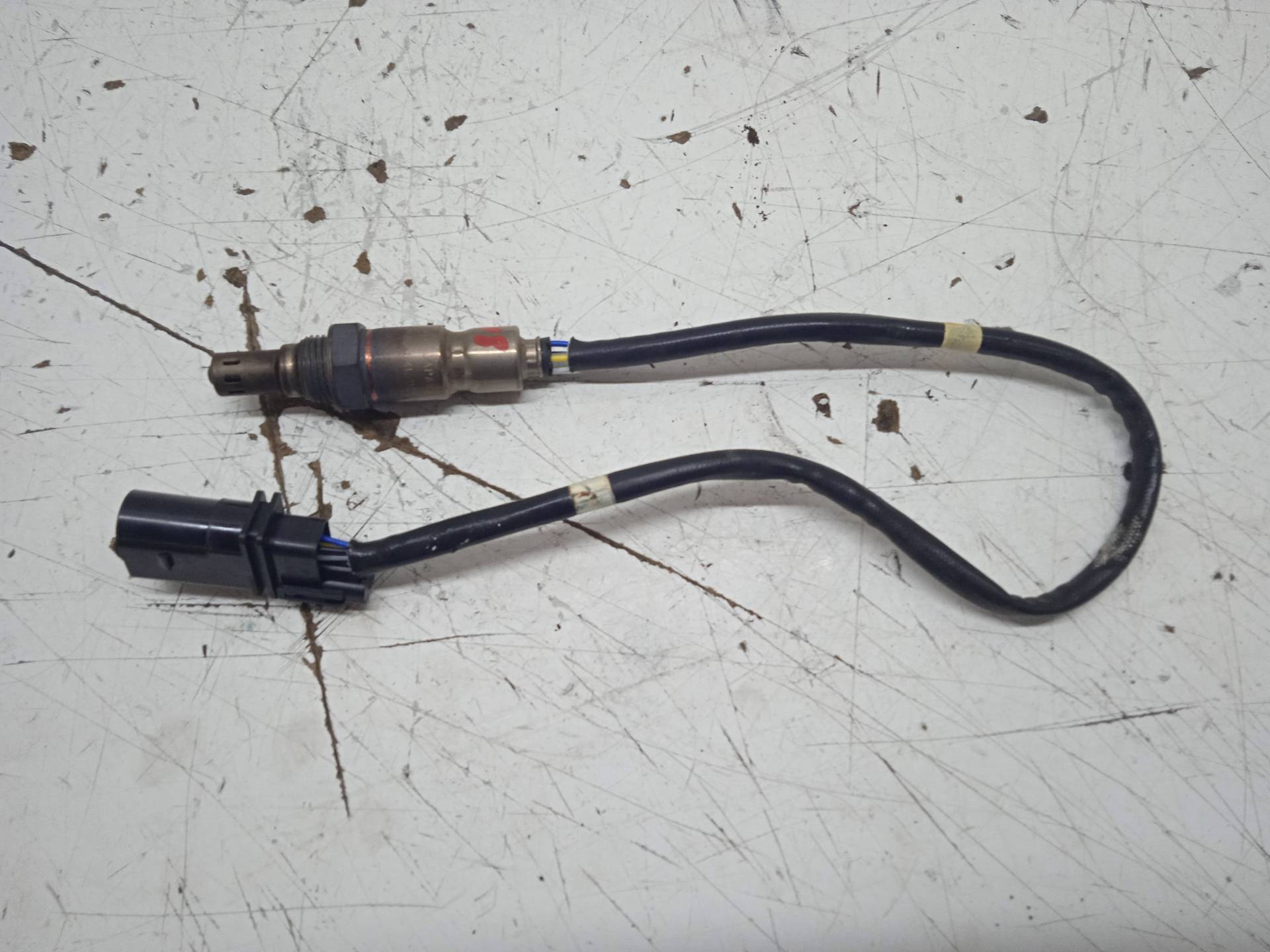 AUDI A1 8X (2010-2020) Sonde à oxygène lambda 04L906262C 24334731