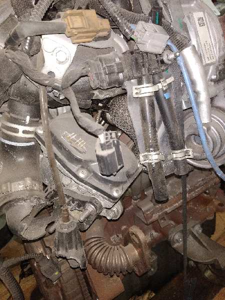 MERCEDES-BENZ Citan W415 (2012-2021) Moteur K9K608 24312964