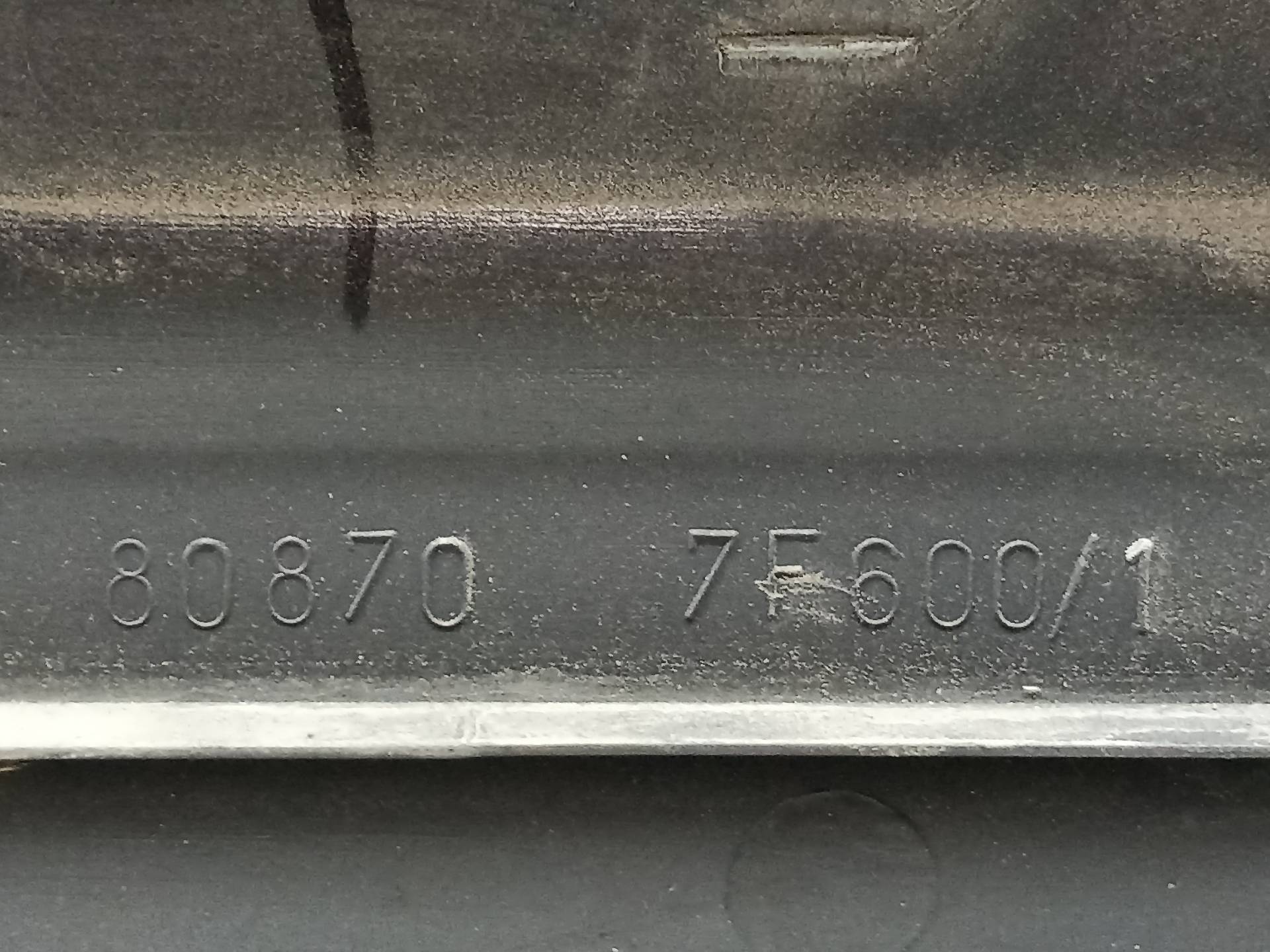 NISSAN Terrano 2 generation (1993-2006) Citas apdares detaļas 808707F600, 300252445249, 249 24313501