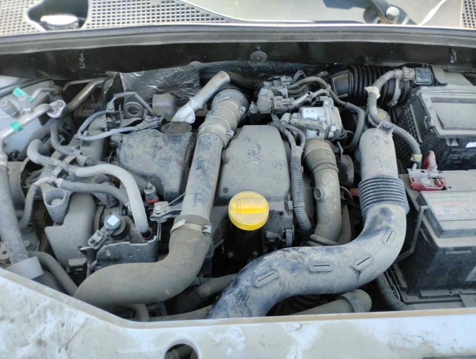 DACIA Duster 1 generation (2010-2017) Engine mount rear 25341746