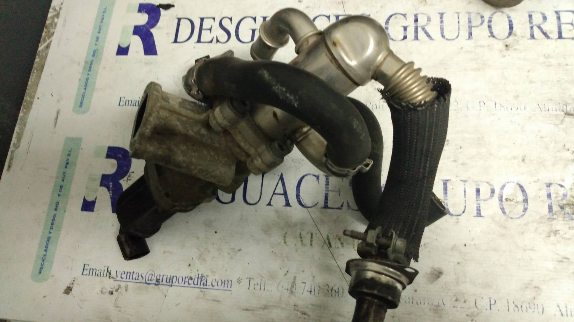 OPEL Combo C (2001-2011) EGR vožtuvas 55197846 21276016