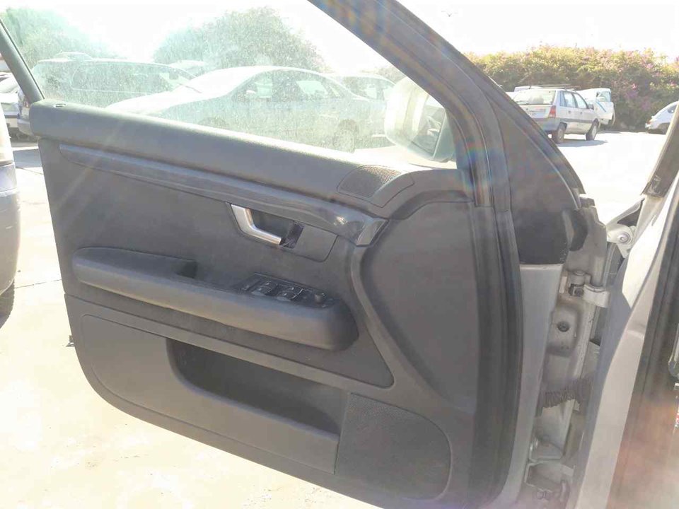 AUDI A4 B6/8E (2000-2005) Front Left Door Panel 25377092