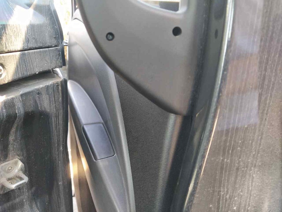 FIAT Rear Left Door Molding 25344443