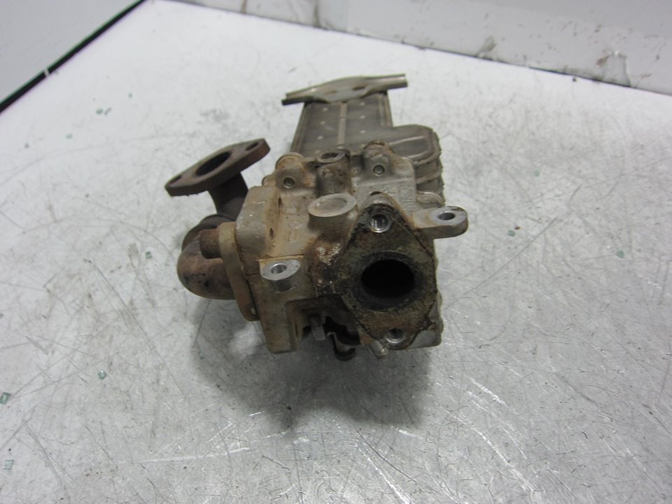 AUDI A3 8P (2003-2013) EGR aušintuvas 1775766 24938426