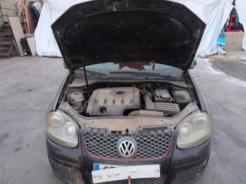 VOLKSWAGEN Golf 5 generation (2003-2009) Priekinių dešinių durų stiklo pakelėjas 994844108 24959670