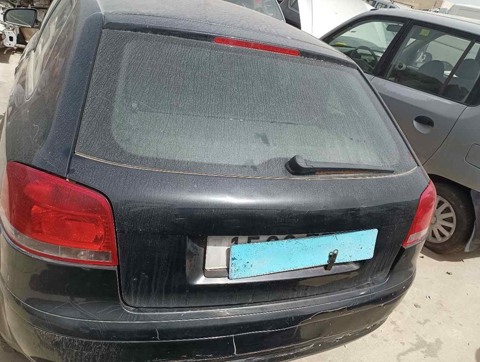 AUDI A3 8P (2003-2013) Kondicionieriaus siurblys (kompresorius) 1K0820803S 22947604