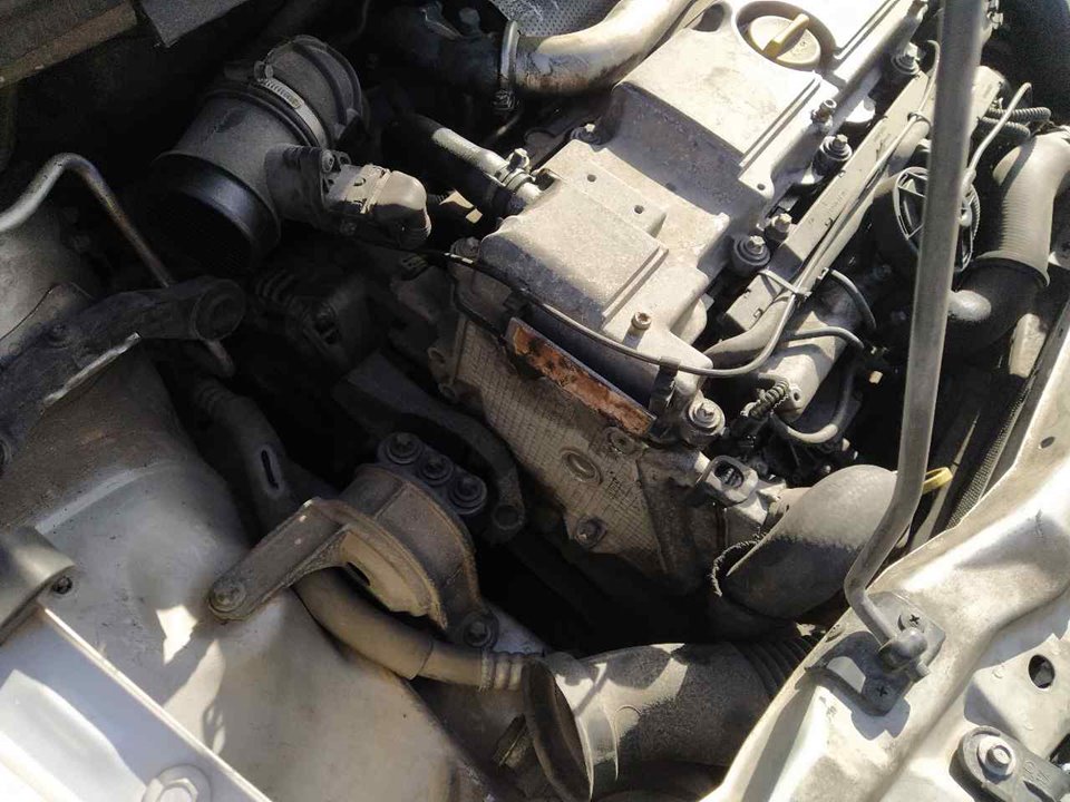 FIAT Power Steering Pump 25325927