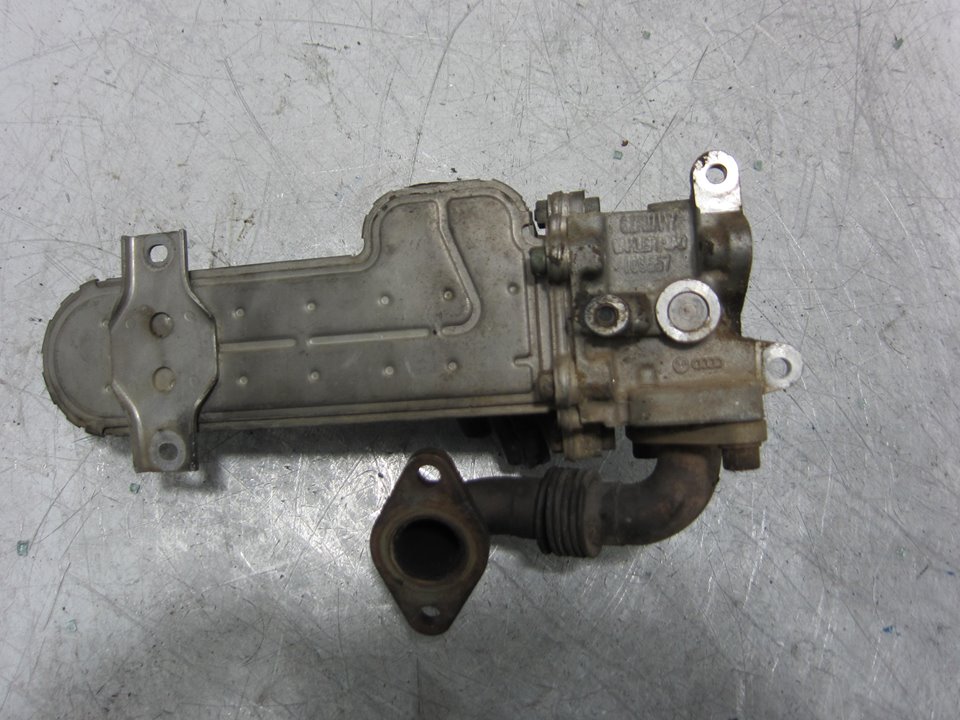 AUDI A3 8P (2003-2013) EGR aušintuvas 1775766 24938426