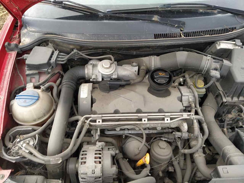SEAT Ibiza 3 generation (2002-2008) Двигатель AXR 25335948