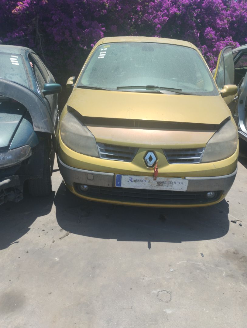 DODGE Scenic 2 generation (2003-2010) Scaun dreapta față 25337749