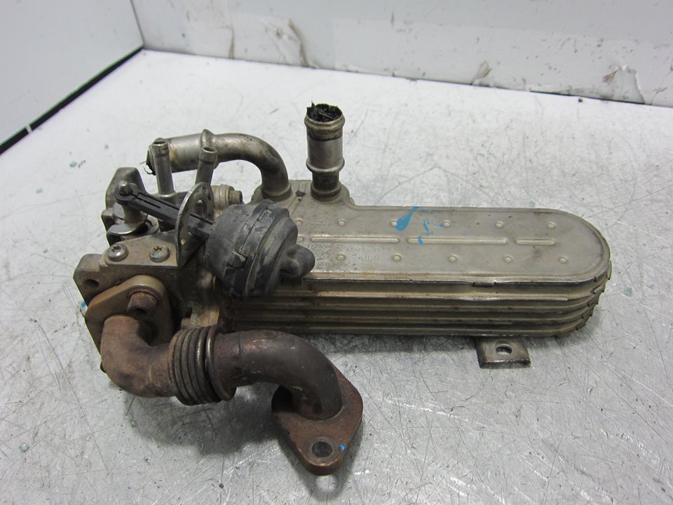 AUDI A3 8P (2003-2013) EGR aušintuvas 1775766 24938426