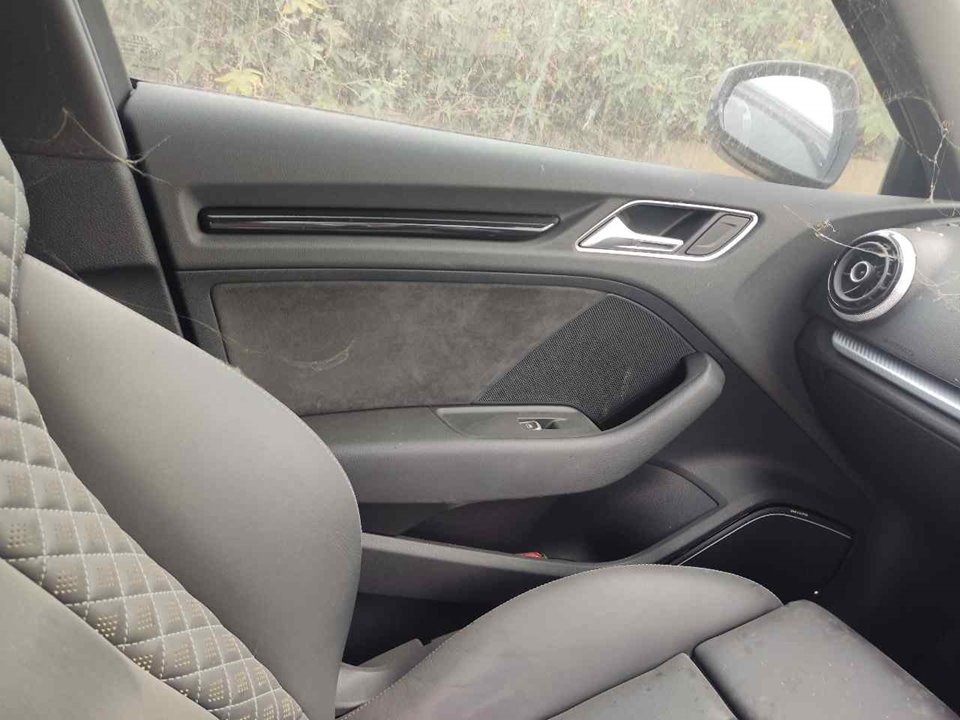 AUDI RS 3 8VA (2015-2021) Front venstre dørpanel 21284046
