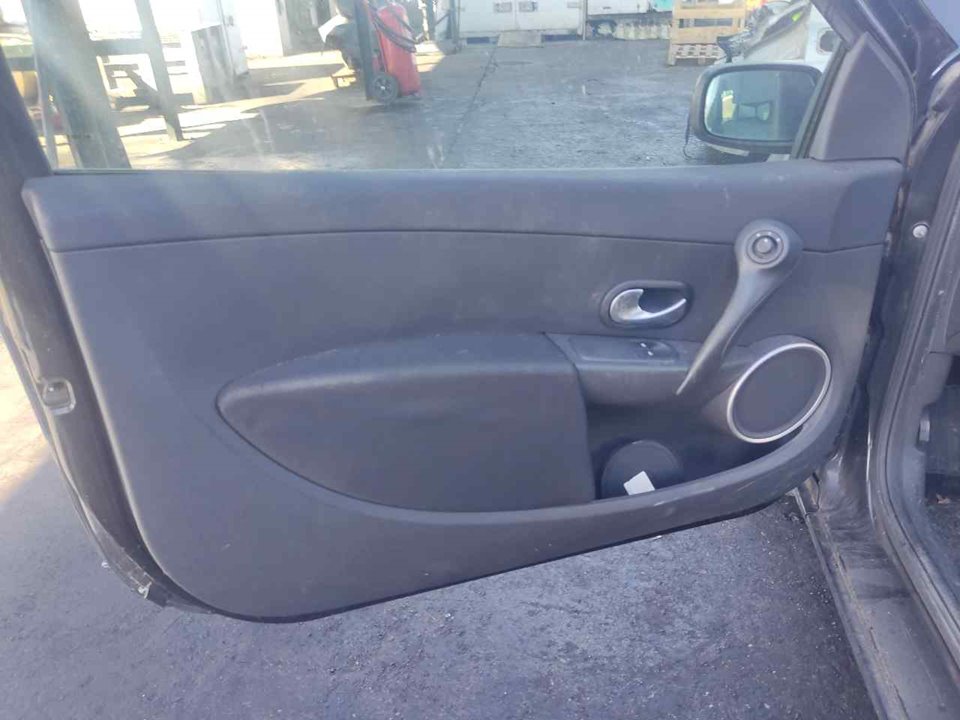 RENAULT Clio 3 generation (2005-2012) Priekšējo kreiso durvju panelis 25438880