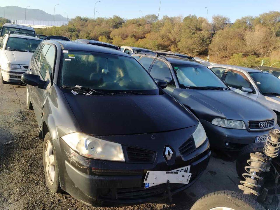 RENAULT Megane 3 generation (2008-2020) Fereastra ușă dreapta față 43R001100 25819634