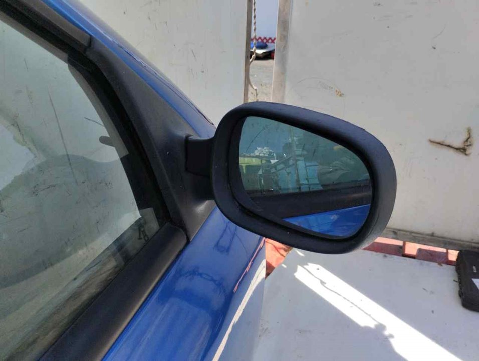 RENAULT Clio 3 generation (2005-2012) Priekinių dešinių durų veidrodis 24939852