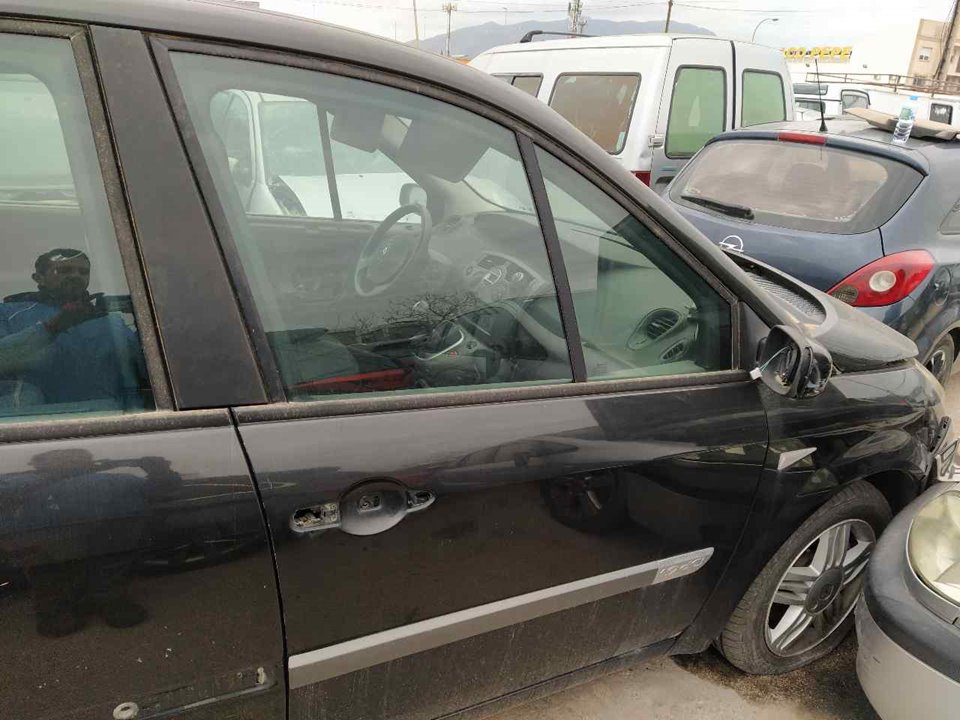 RENAULT Scenic 2 generation (2003-2010) Предна дясна врата 25333303