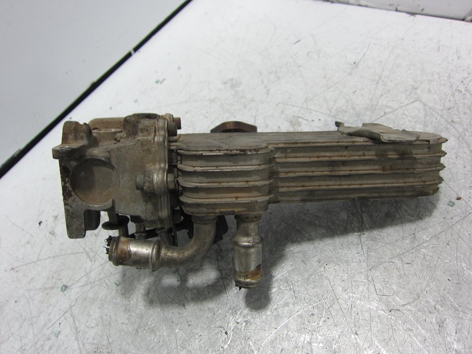 AUDI A3 8P (2003-2013) EGR aušintuvas 1775766 24938426