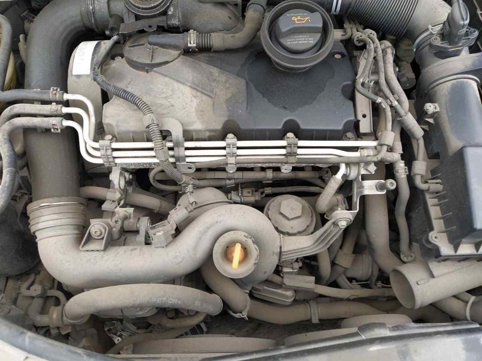 AUDI A3 8P (2003-2013) Power Steering Pump 25362839
