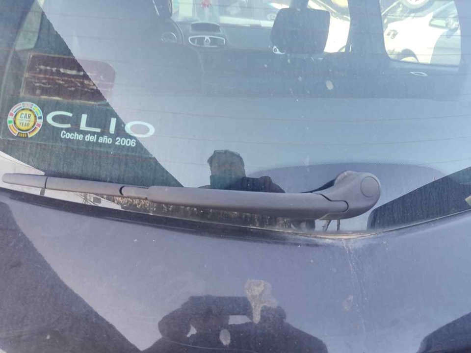 RENAULT Clio 3 generation (2005-2012) Takaluukun lasinpyyhkijän varsi 25439187
