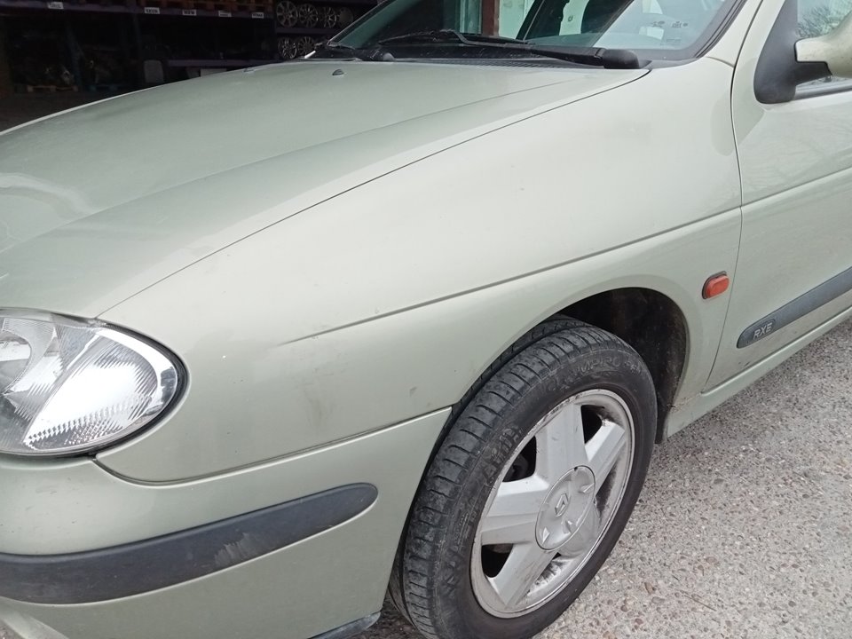 RENAULT Megane 1 generation (1995-2003) Aripa stânga față 7751696568 23628405