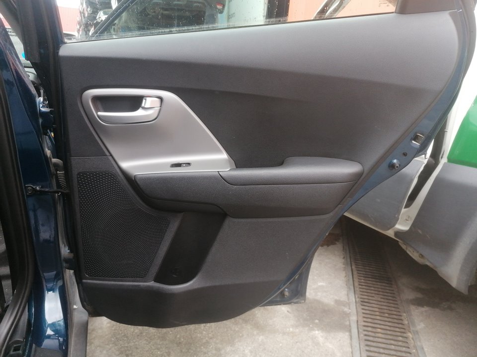 KIA Niro 1 generation  (2016-2022) Rear Right Door Panel 25068887