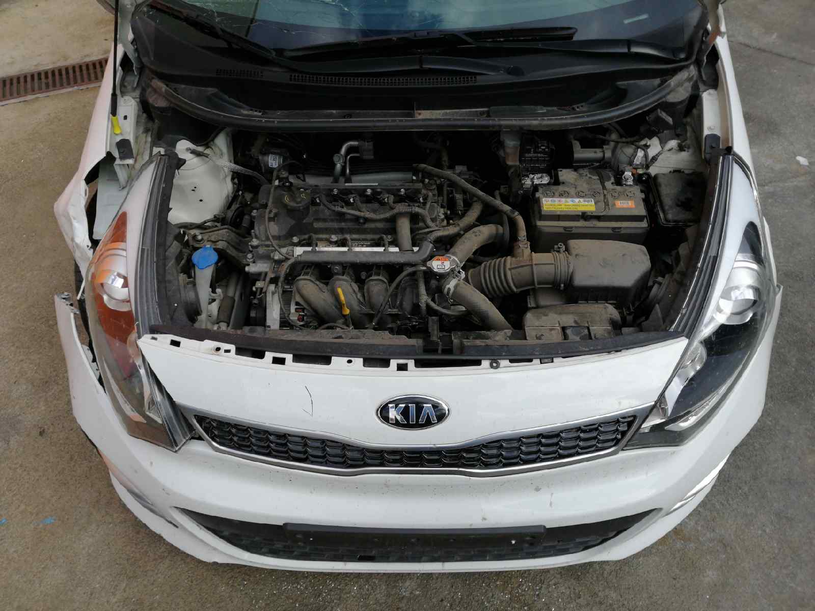 KIA Rio 3 generation (2011-2017) Подушка безопасности потолка левая 850101W000 19034904