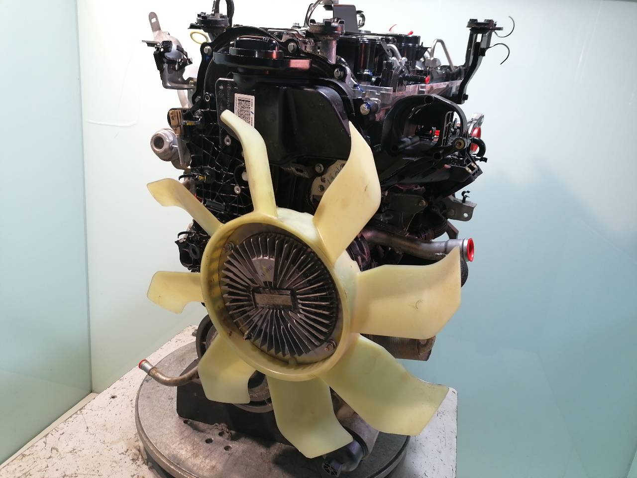 NISSAN NP300 1 generation (2008-2015) Motor YS23 25068212