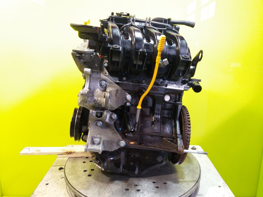 DACIA Sandero 1 generation (2008-2012) Engine D4FF732 25067315