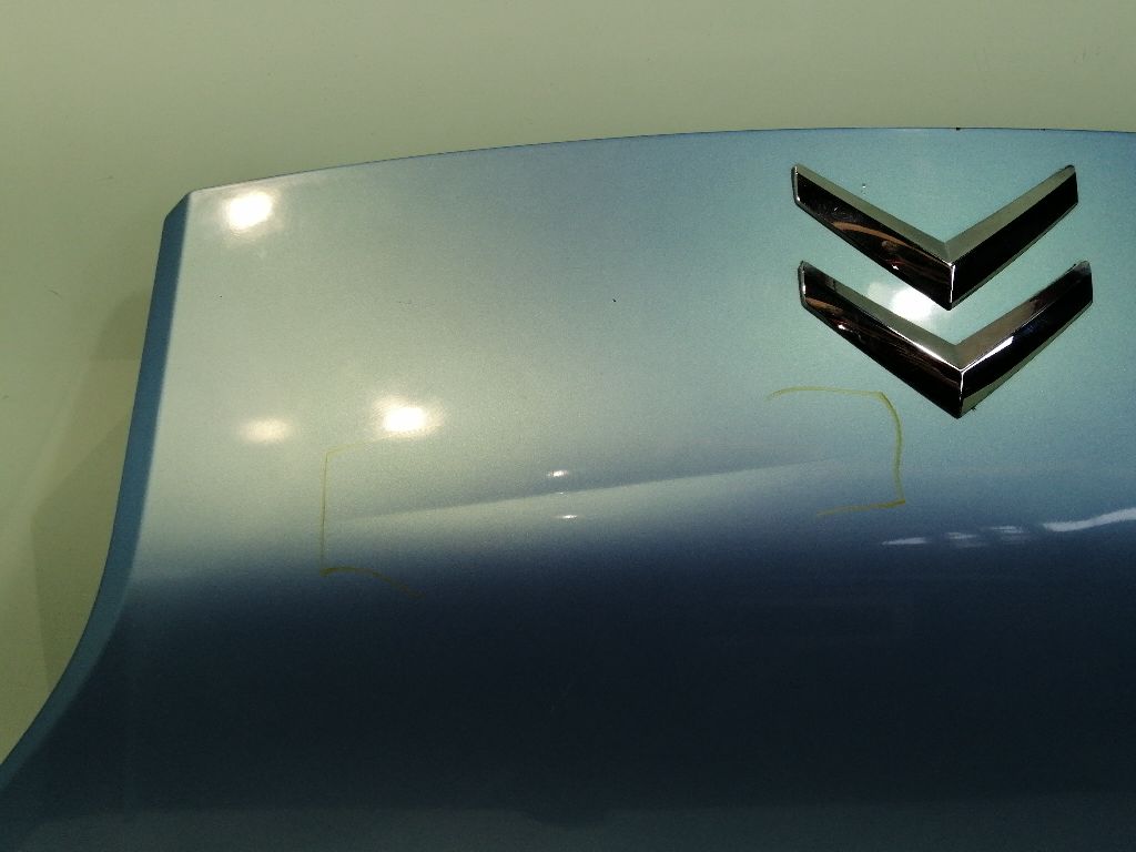 CITROËN Nemo 1 generation (2008-2015) Bonnet 7901Q1 19048033