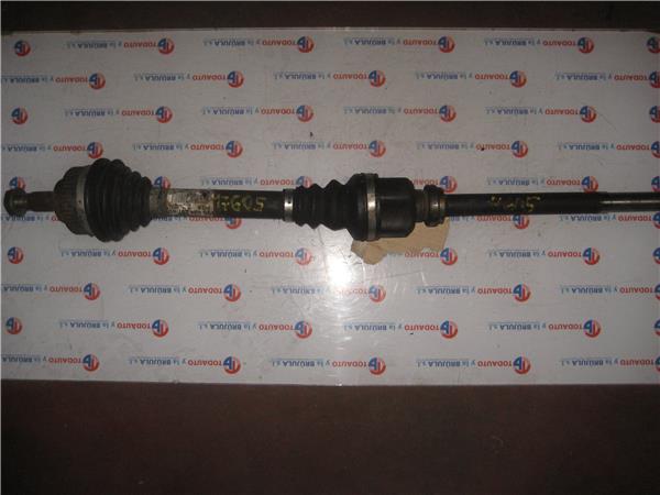 CITROËN Xsara Picasso 1 generation (1999-2010) Front Right Driveshaft CONABS 20768204