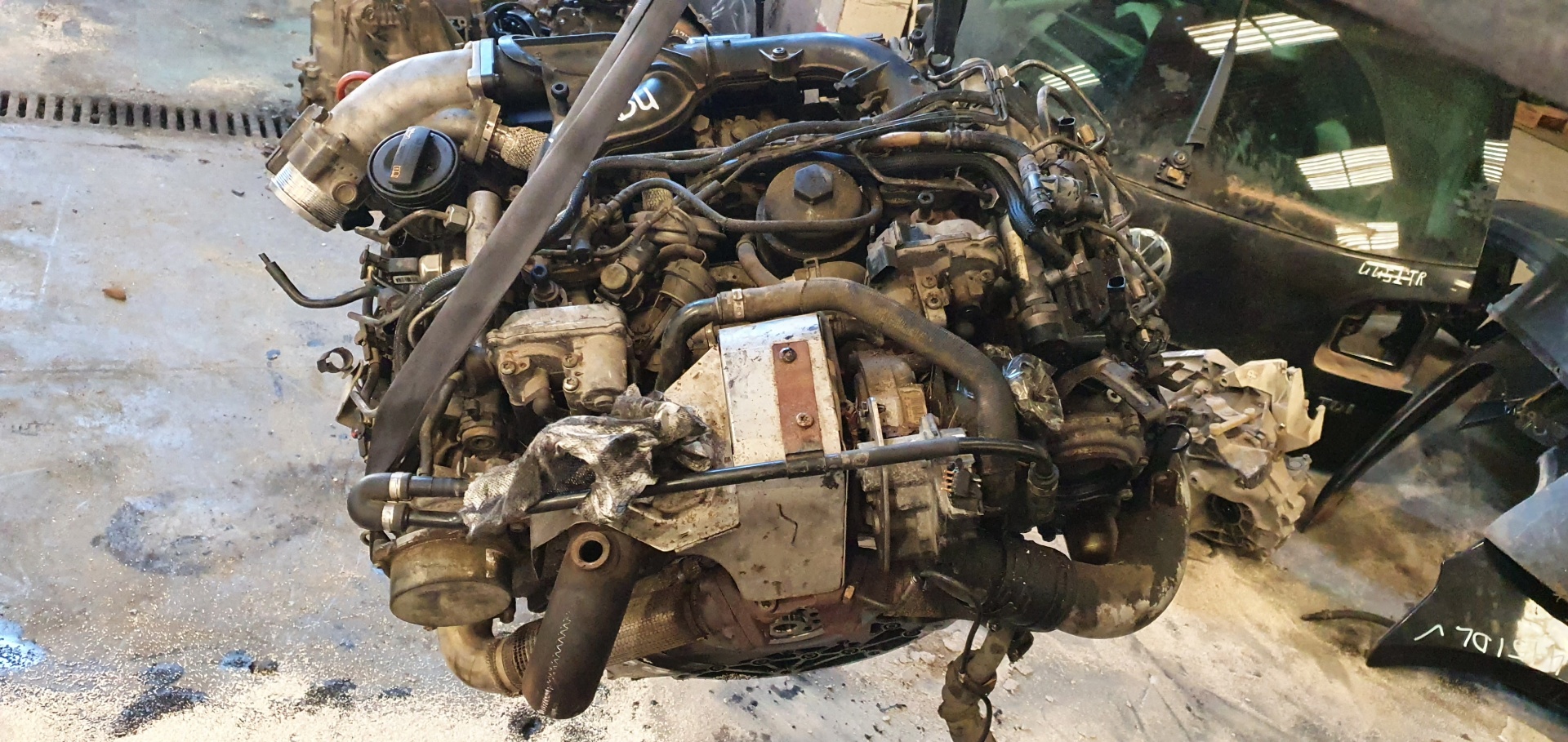 VOLKSWAGEN Touareg 1 generation (2002-2010) Engine BKS 20124873