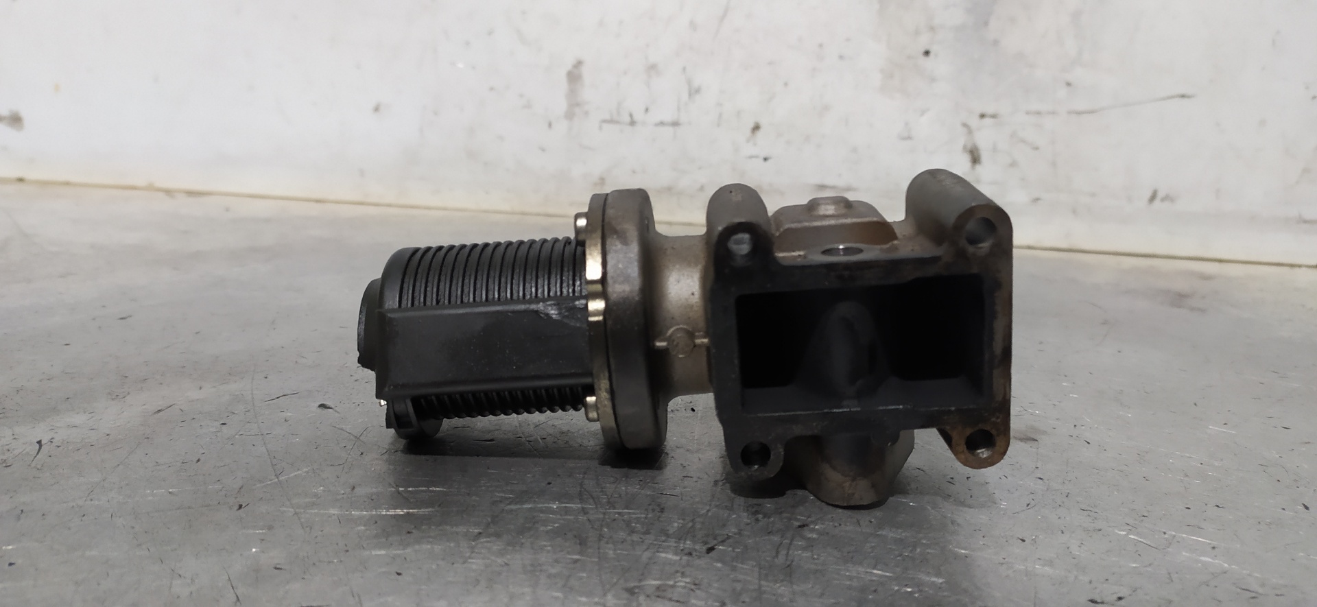 ALFA ROMEO GT 937 (2003-2010) EGR vārsts 55215031 20114349