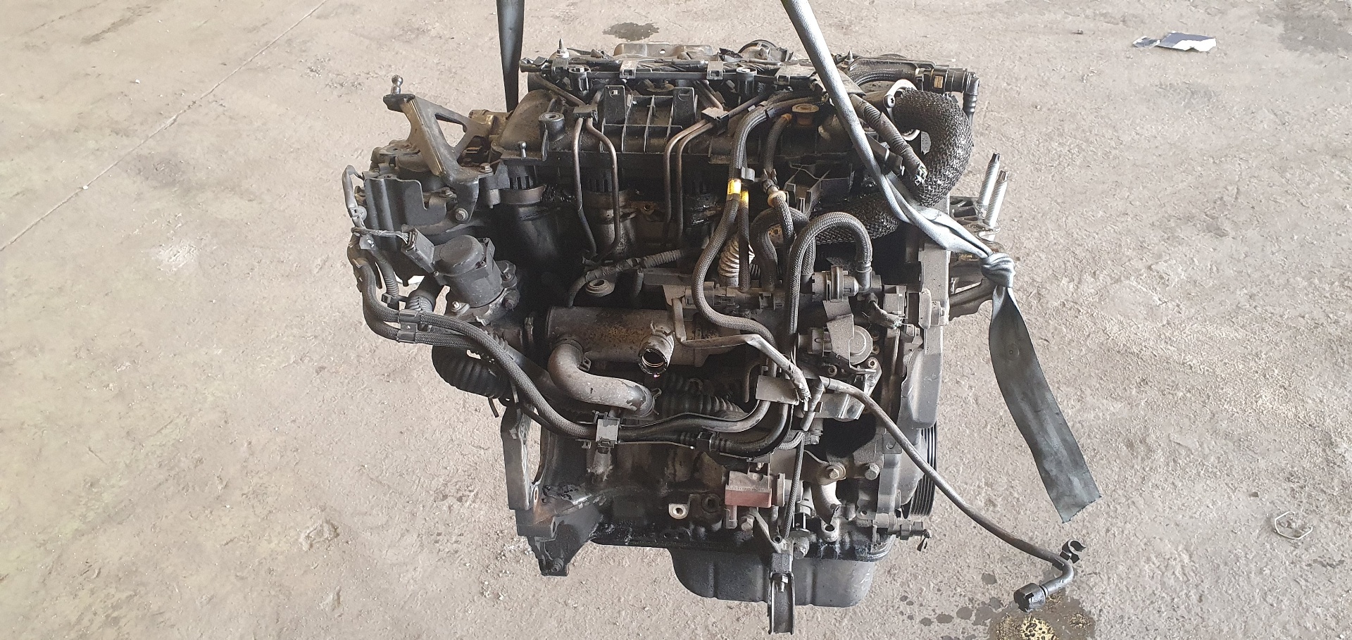 PEUGEOT Focus 2 generation (2004-2011) Engine G8DB 20121830