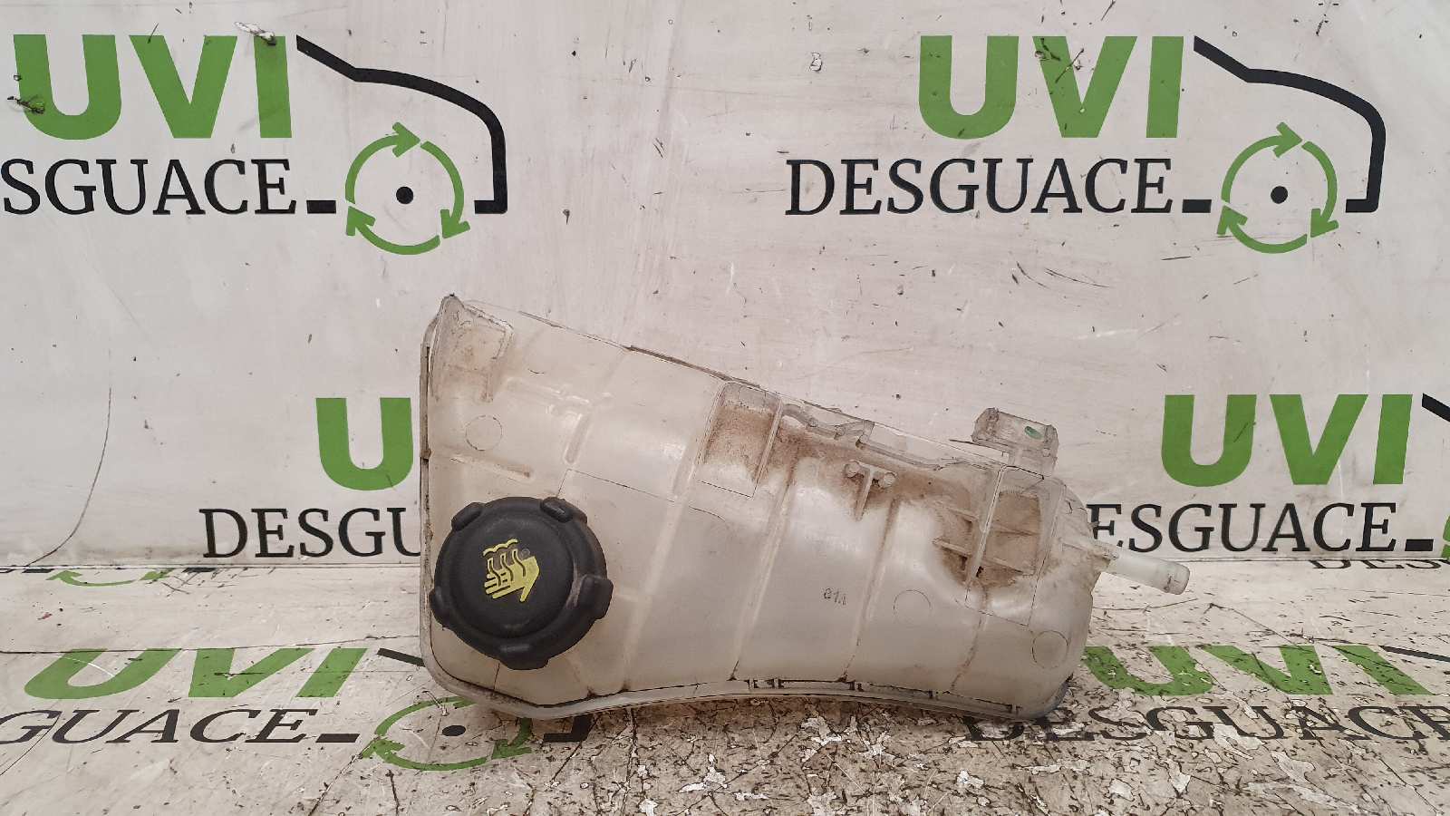 RENAULT Kangoo 2 generation (2007-2021) Expansion Tank 8200455786 19974200